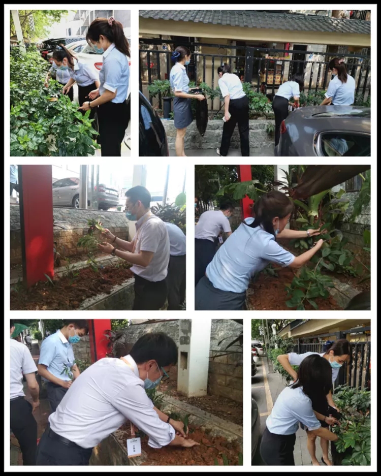 720c8c480202049fd825b9110c4caef4-sz_1098032.webp.jpg 720c8c480202049fd825b9110c4caef4-sz_1098032.webp.jpg